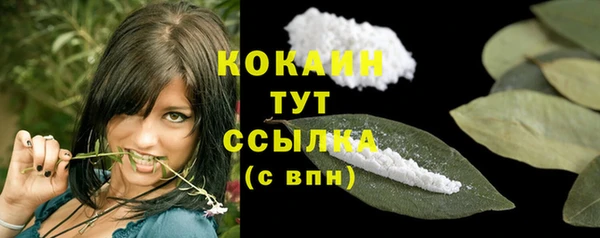 прущие грибы Надым